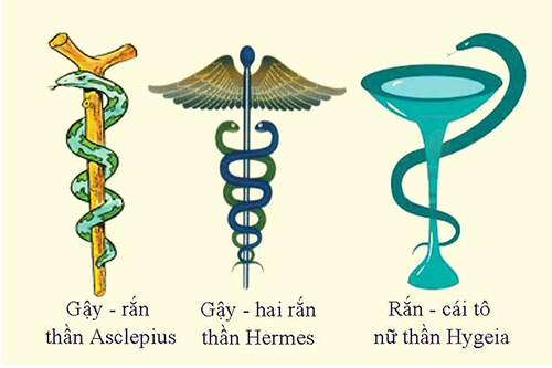 Con rắn và biểu tượng của ngành Y- Dược