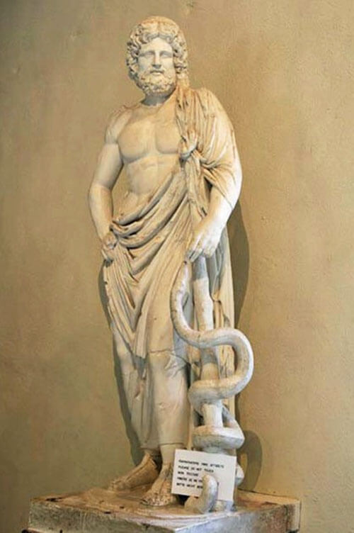 Bức tượng Thần Esculape cùng cây gậy và con rắn, người được coi là ông tổ của ngành Y - dược