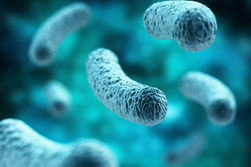 Dược Sài Gòn lưu ý sử dụng Lactobacillus Acidophilus hỗ trợ đường ruột Dược Sài Gòn lưu ý sử dụng Lactobacillus Acidophilus hỗ trợ đường ruột