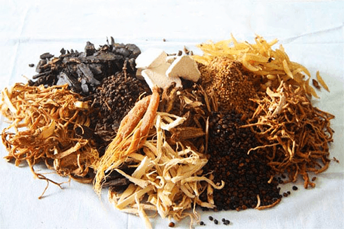 Trong YHCT luôn có những bài thuốc để điều trị bệnh u xơ tuyến tiền liệt Trong YHCT luôn có những bài thuốc để điều trị bệnh u xơ tuyến tiền liệt