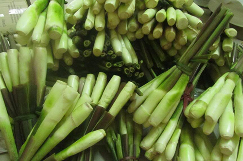 củ niễng vị ngọt tính mát ,việc sử dụng củ niễng rất có lợi đối với sức khỏe củ niễng vị ngọt tính mát ,việc sử dụng củ niễng rất có lợi đối với sức khỏe