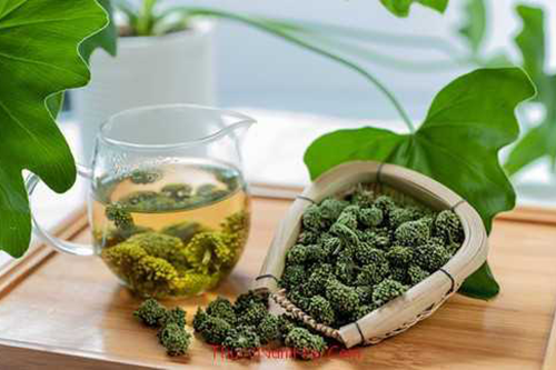 Uống trà hoa tam thất không chỉ giúp dễ ngủ mà còn một loạt các tác dụng khác như bổ huyết, tăng cường sức đề kháng cho cơ thể Uống trà hoa tam thất không chỉ giúp dễ ngủ mà còn một loạt các tác dụng khác như bổ huyết, tăng cường sức đề kháng cho cơ thể