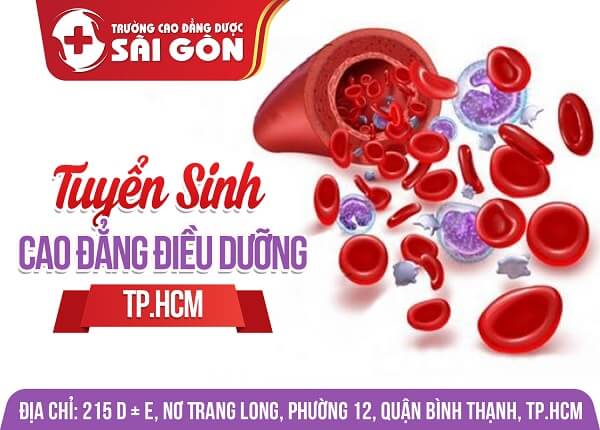 Trường Cao đẳng Dược Sài Gòn tuyển sinh Cao đẳng Điều dưỡng Sài Gòn Trường Cao đẳng Dược Sài Gòn tuyển sinh Cao đẳng Điều dưỡng Sài Gòn