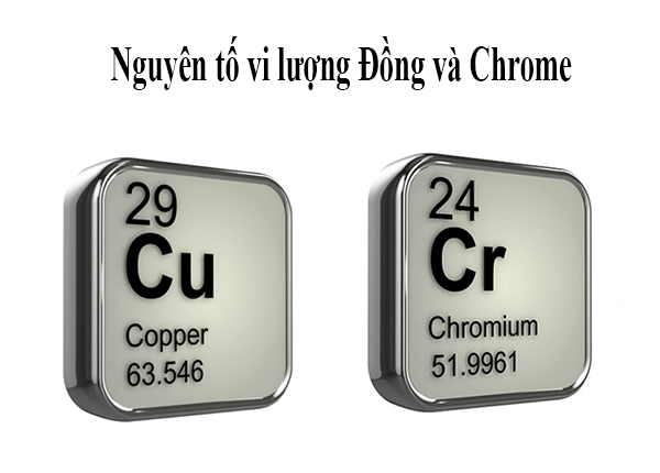 Tìm hiểu vai trò của nguyên tố vi lượng Đồng và Chrome cùng Dược SG Tìm hiểu vai trò của nguyên tố vi lượng Đồng và Chrome cùng Dược SG