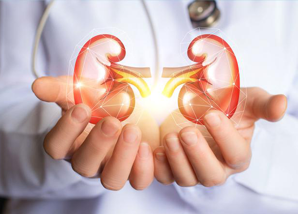 Tìm hiểu về hội chứng thận hư cùng chuyên gia Điều dưỡng Sài Gòn Tìm hiểu về hội chứng thận hư cùng chuyên gia Điều dưỡng Sài Gòn