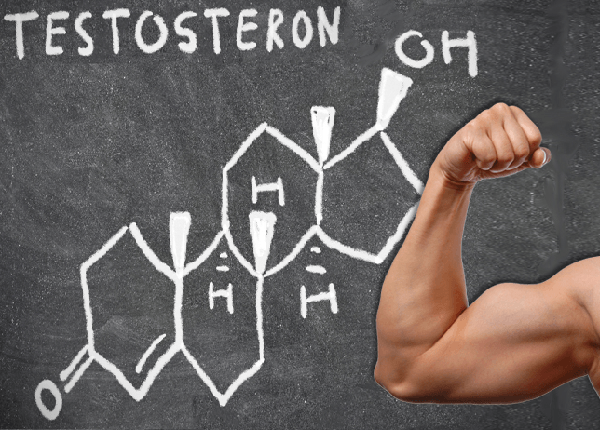 Tìm hiểu về hormon Testosterone cùng các chuyên gia Dược Sài Gòn Tìm hiểu về hormon Testosterone cùng các chuyên gia Dược Sài Gòn