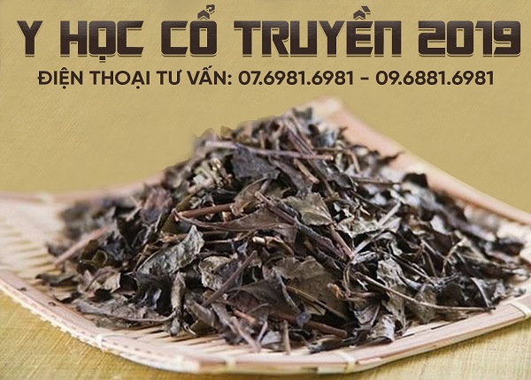 Trường Cao đẳng Y Dược Pasteur thông báo tuyển sinh Y sĩ YHCT Sài Gòn năm 2019 Trường Cao đẳng Y Dược Pasteur thông báo tuyển sinh Y sĩ YHCT Sài Gòn năm 2019