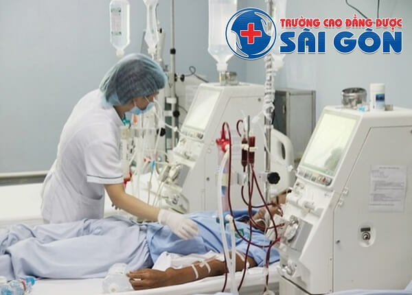 Chế độ dinh dưỡng bệnh nhân lọc máu chế độ dinh dưỡng bệnh nhân lọc máu