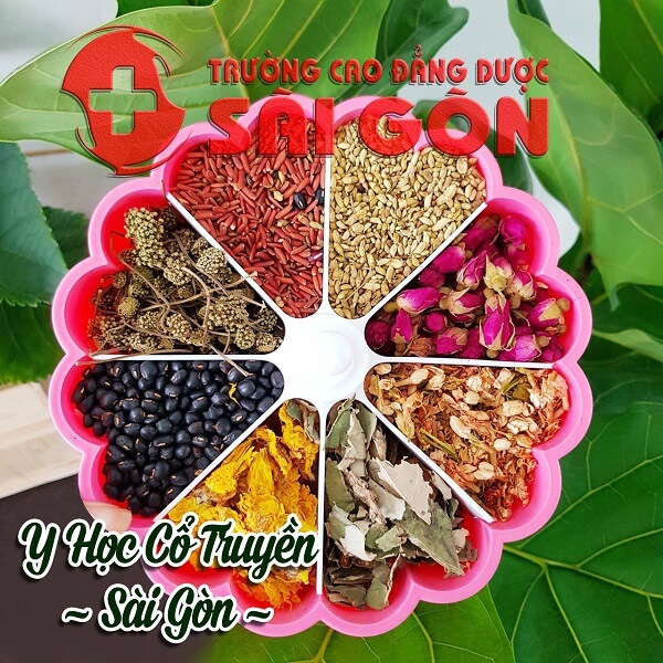 Trường Cao đẳng Dược Sài Gòn tuyển sinh Y sĩ Y học cổ truyền năm 2019 Trường Cao đẳng Dược Sài Gòn tuyển sinh Y sĩ Y học cổ truyền năm 2019