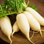 Y sĩ YHCT Sài Gòn nói về công dụng chữa bệnh từ củ cải trắng