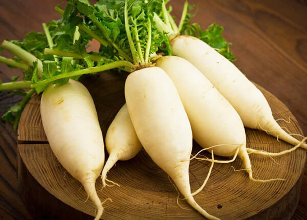 Củ cải tươi sống có vị cay, tính mát Củ cải tươi sống có vị cay, tính mát