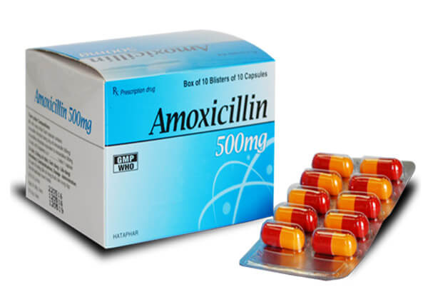 Amoxicillin là thuốc điều trị nhiễm khuẩn đường hô hấp trên, nhiễm khuẩn đường hô hấp dưới do liên cầu khuẩn,Amoxicillin là thuốc điều trị nhiễm khuẩn đường hô hấp trên, nhiễm khuẩn đường hô hấp dưới do liên cầu khuẩn