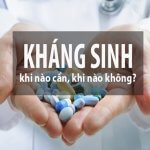 WHO khuyến cáo 5 điểm cần lưu ý khi sử dung thuốc kháng sinh