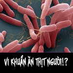 Sự lan tràn vi khuẩn “ăn thịt người” trong cộng đồng