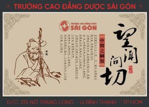 Trường Cao đẳng Dược Sài Gòn đào tạo Y học cổ truyền Trường Cao đẳng Dược Sài Gòn đào tạo Y học cổ truyền