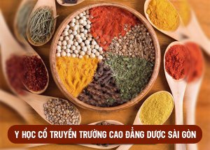 Trường Cao đẳng Dược Sài Gòn đào tạo Y học cổ truyền Trường Cao đẳng Dược Sài Gòn đào tạo Y học cổ truyền