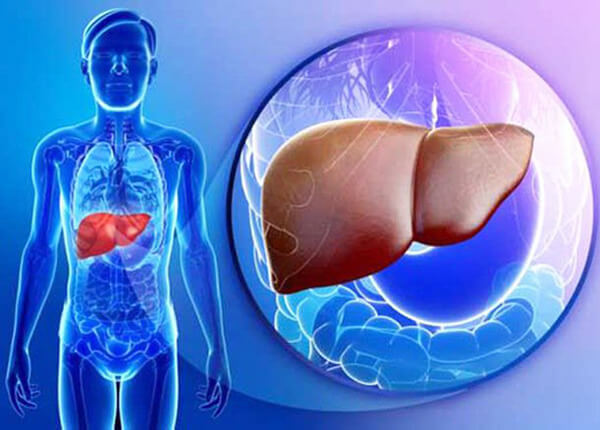 Bệnh viêm gan C Bệnh viêm gan C