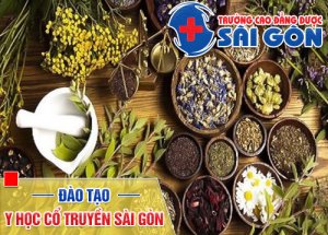 Trường Cao đẳng Dược Sài Gòn đào tạo Y sĩ Y học cổ truyền uy tín Trường Cao đẳng Dược Sài Gòn đào tạo Y sĩ Y học cổ truyền uy tín