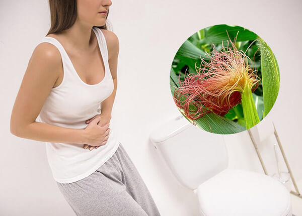 Chữa viêm đường tiết niệu bằng râu ngô Chữa viêm đường tiết niệu bằng râu ngô