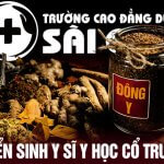 Hình thức xét tuyển online Văn bằng 2 Y sĩ Y học cổ truyền