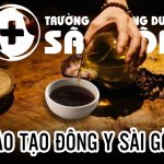 Mục tiêu đào tạo ngành Y sĩ Y học cổ truyền