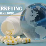 Tìm hiểu chuyên ngành Marketing Dược