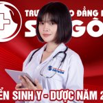 Vai trò của Dược sĩ lâm sàng tại cở sơ khám chữa bệnh