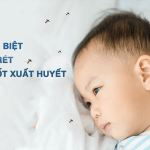 Các dấu hiệu nhận biết sốt rét và phân biệt với sốt xuất huyết