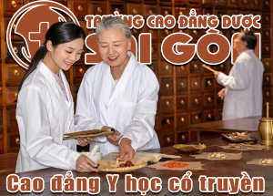 cao dang y hoc co truyen tphcm