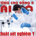 Tốt nghiệp THPT có đủ điều kiện học ngành Kỹ thuật xét nghiệm không?