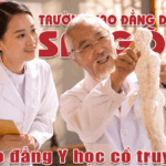 Sinh viên Y học cổ truyền được học những tinh hoa nào của nền y học dân tộc?